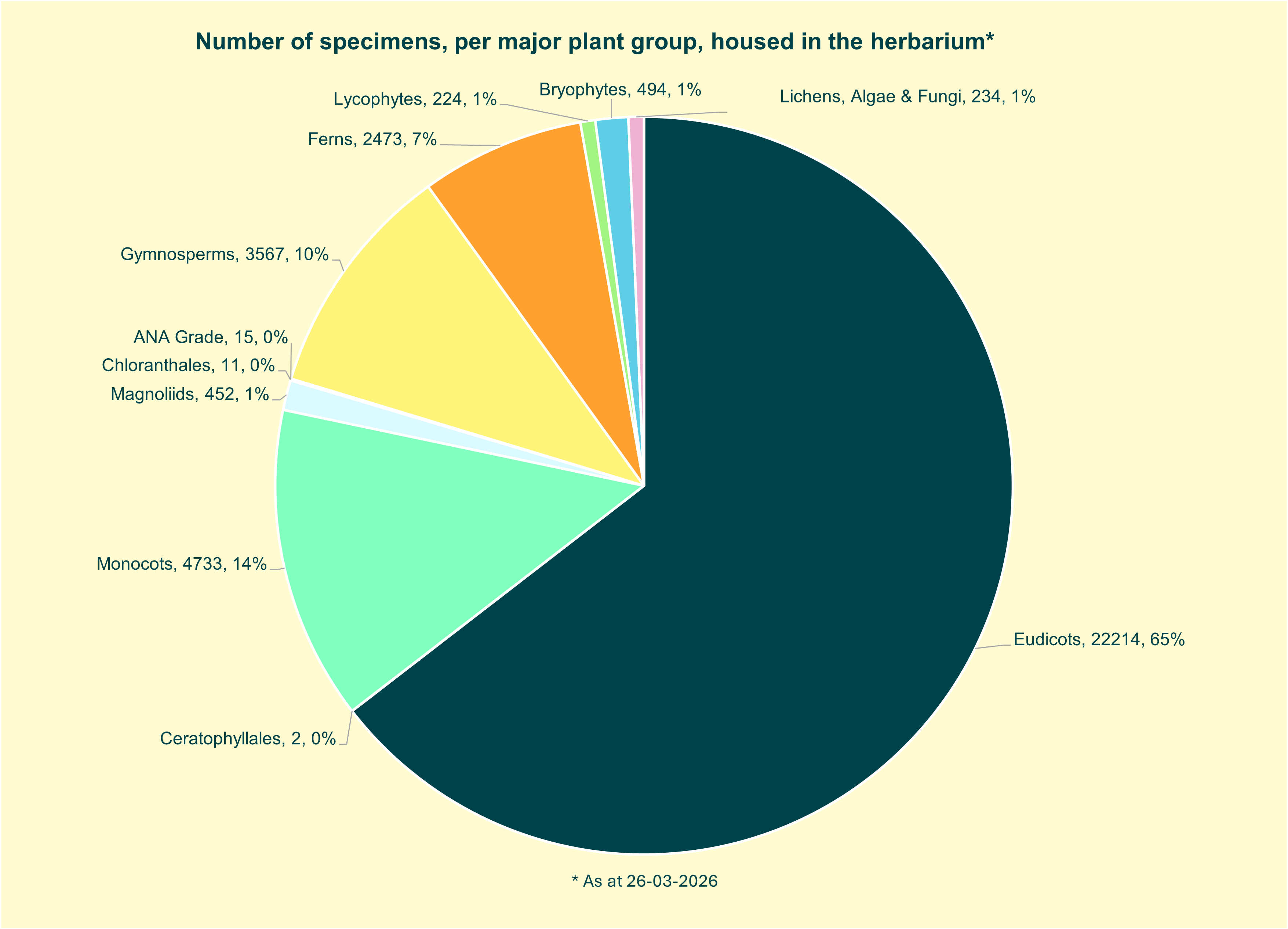 Collection breakdown pie chart