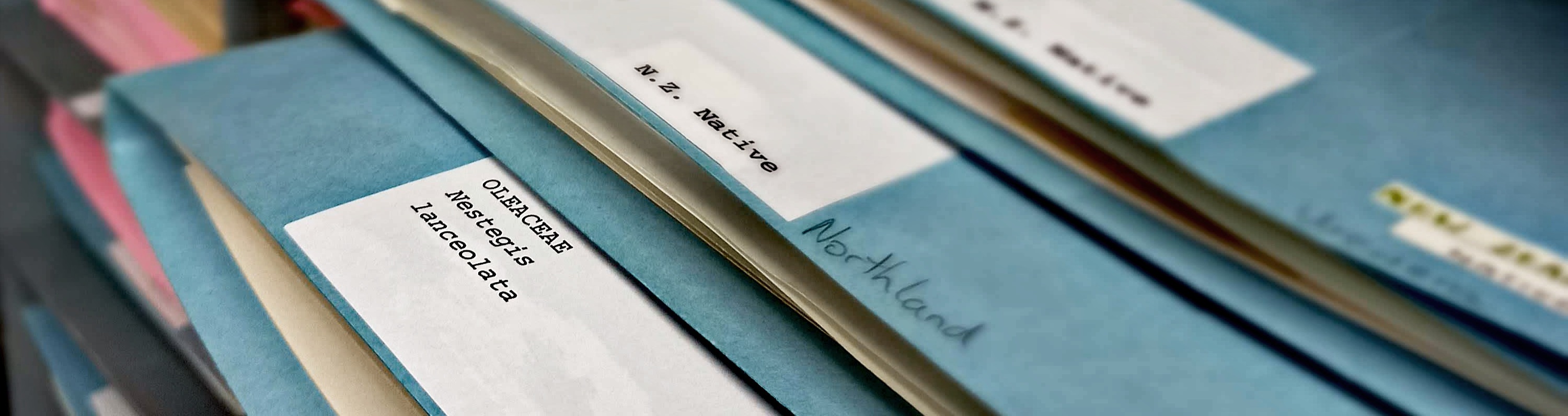 Information Services Banner